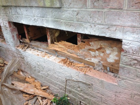 Things are not always what they seem. Water seeping through brick got things started here, and you can see where the fibrous mat of white rot lingers on the surface of this rim joist. But the ultimate destruction of this framing came from termites. Termites primarily search for food by the scent of wet, rotten wood, so the onset of rot certainly contributed to this structure's demise.