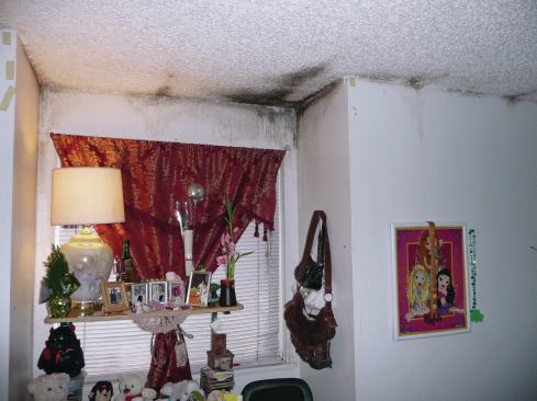 Wall damage occurs inside as well, ruining insulation and drywall and causing mold growth that can be dangerous to occupants of the home.