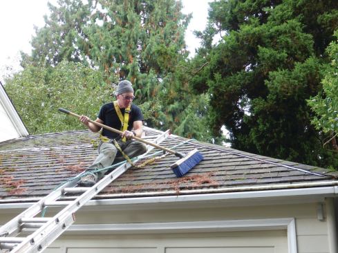 The most effective way to remove moss is with a broom. Always avoid power washing a roof, which can cause more harm than good.