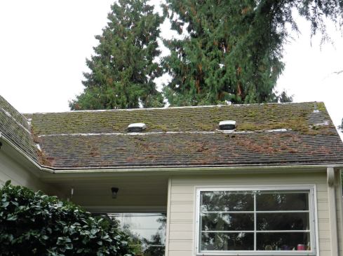 A band of moss-killing chemicals is applied along the peak and at the mid-point of the roof plane. Rain will spread the chemical over the roof and kill the moss.