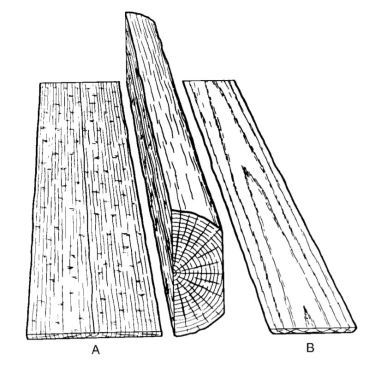 Quartersawn, or vertical-grain, lumber (A), cut radially (or near radially) to the rings, is sometimes preferred for its straightness, but plainsawn, or flat-grain, lumber (B) has more interesting grain patterns