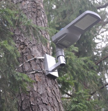 The author mounted the brackets holding the LED light fixture to the tree with stainless-steel strapping.