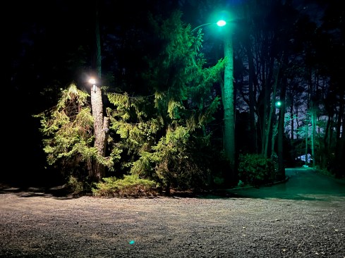Before the utility company took down the old mercury vapor lamp, the author had a chance to compare the light output of the old light (above, at right) and the new one (above, at left).
